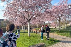 26-03-22-16-49-41-6966