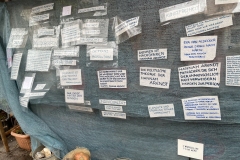 26-03-25-16-57-11-7148