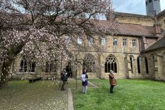 26-03-29-15-38-59-7407