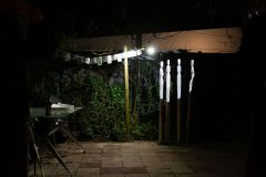 IMG_0377
