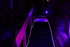 IMG_0390