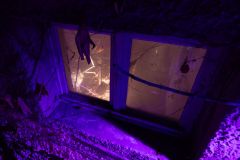 IMG_0502