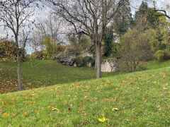 IMG_5154