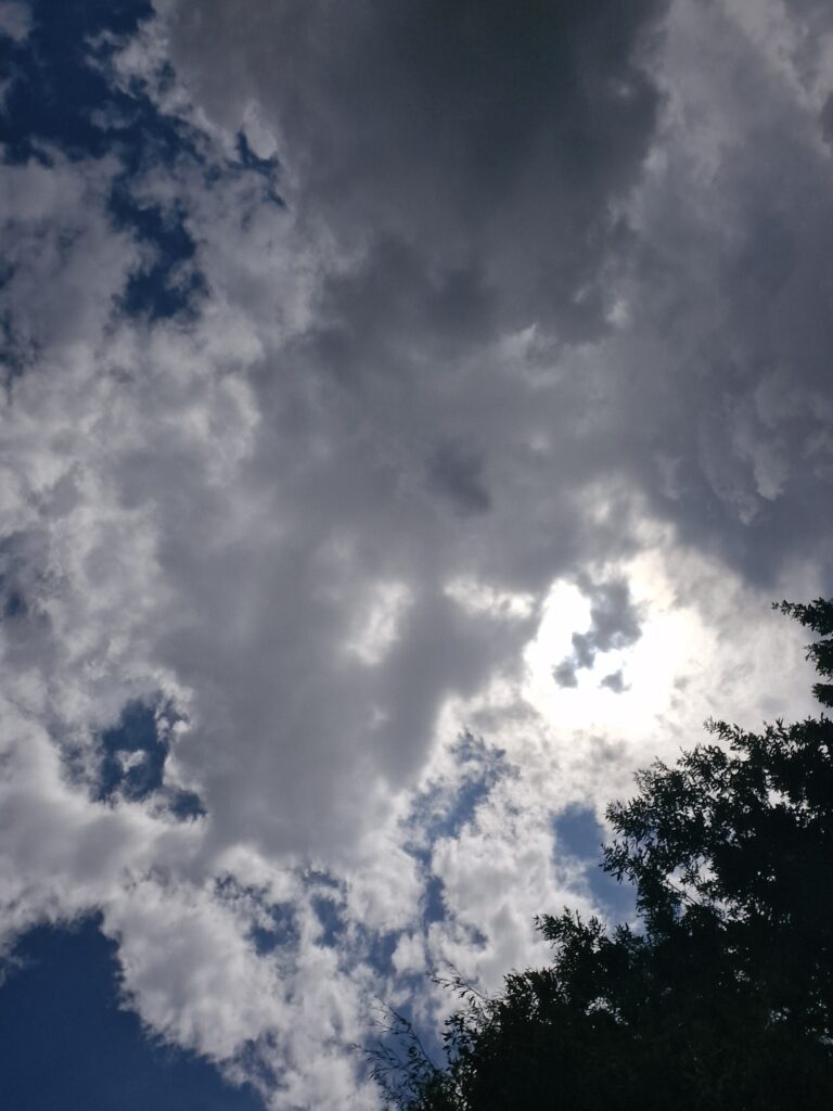 This image has an empty alt attribute; its file name is 20250722_152237-768x1024.jpg