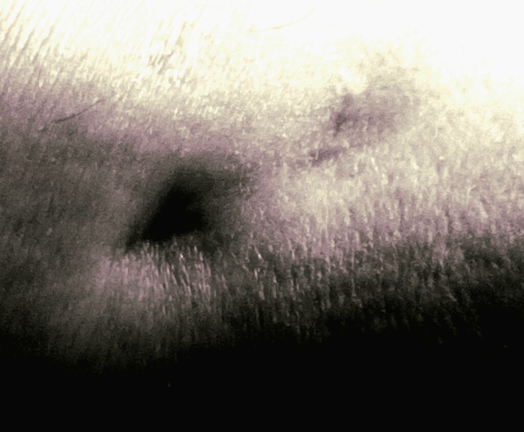 This image has an empty alt attribute; its file name is 20251017_193116-alex-alex-1024x845.jpg