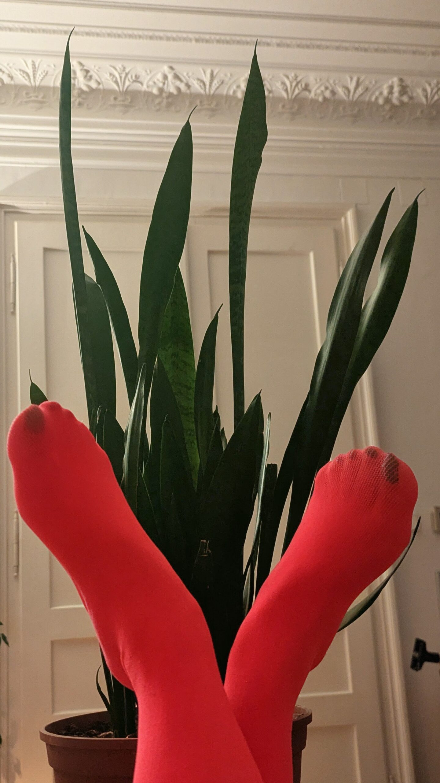 Red Signal in Green Silence