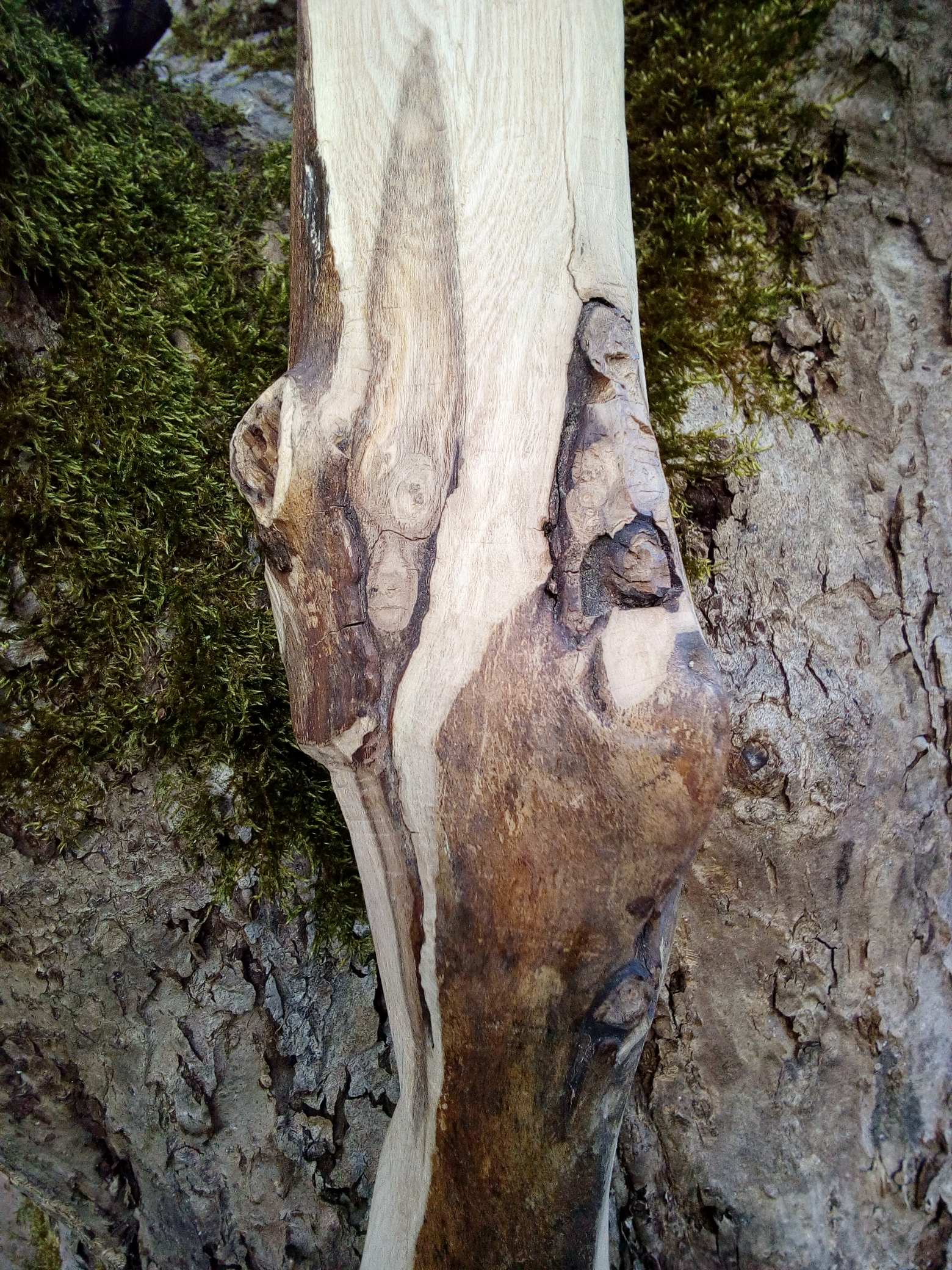 JEDER IST ANDERS ? ? ? ! ! ! ! !!!